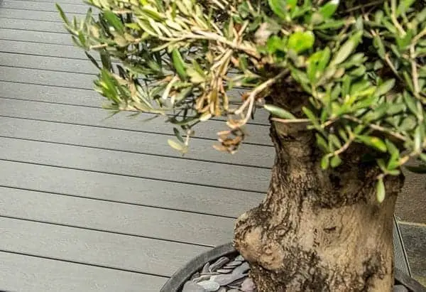 Prevent mold under planters composite deck maintenance guide